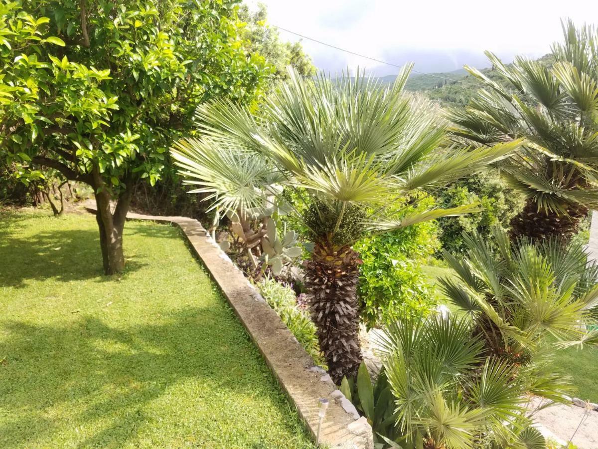 Marivo Guest House Molunat Extérieur photo